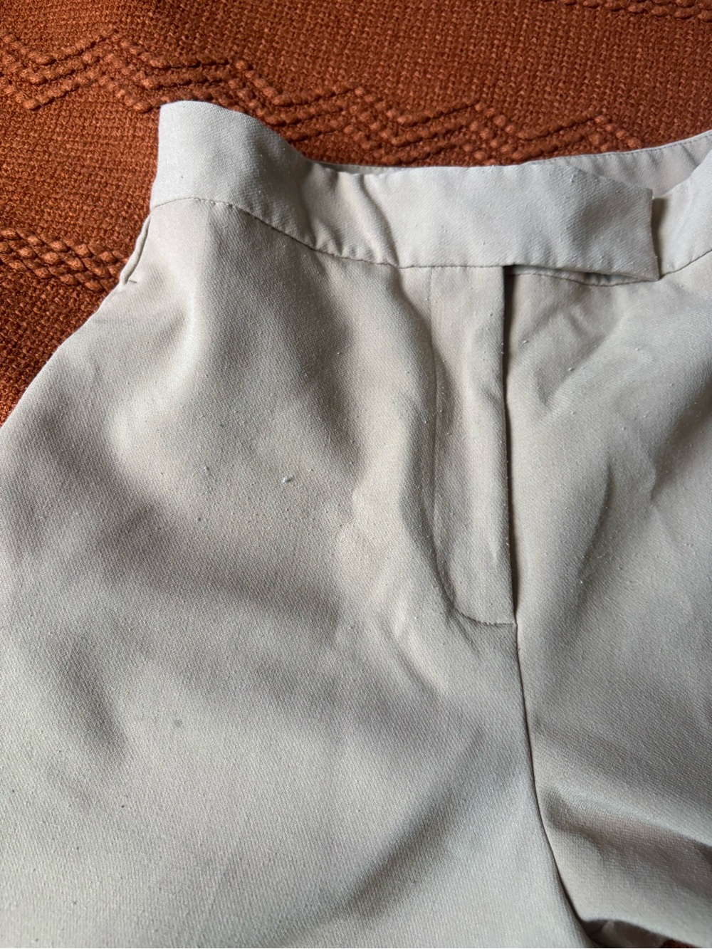 Zara Beige Tailored Vest and Wide-Leg Pants Set - Picture 4 of 6